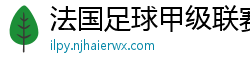 法国足球甲级联赛